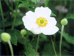 ���イ�߂�����